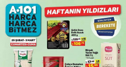 A101 25 ŞUBAT 2023 KATALOĞU