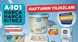 A101 29 TEMMUZ 2023 KATALOĞU