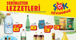 ŞOK 2 AĞUSTOS 2023 KATALOĞU